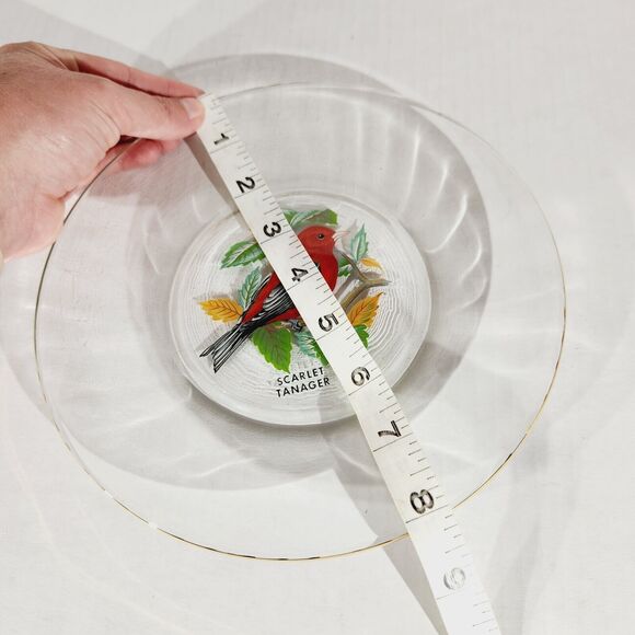 Vtg Glass Plate Painted Scarlet Tanager Bird Plate Clear Gold Trim 8" Red Nature - Picture 5 of 6